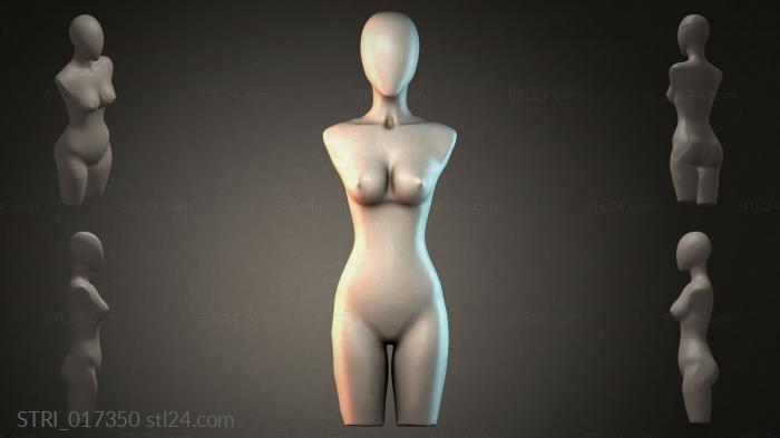 STRI_017350