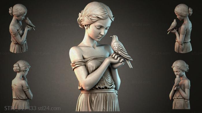 STRI_017433