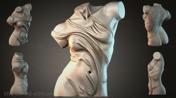 STRI_017448
