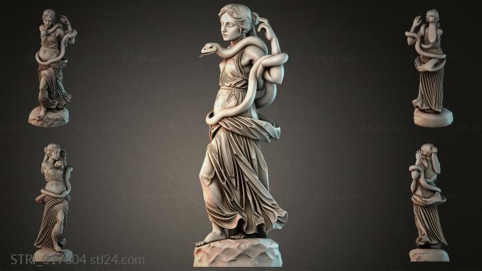 STRI_017604