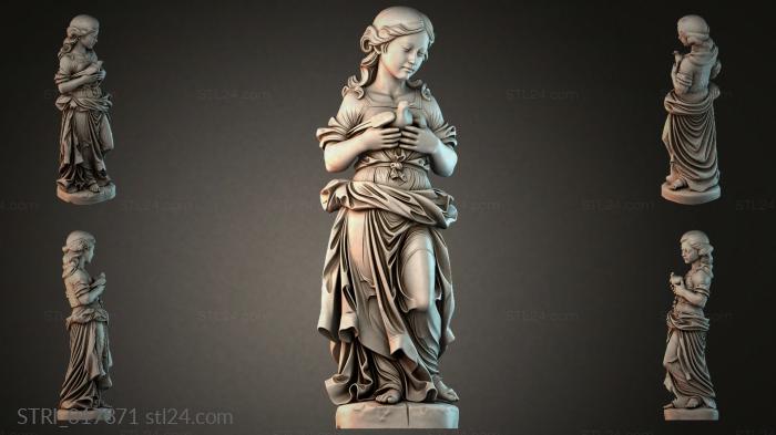 STRI_017871
