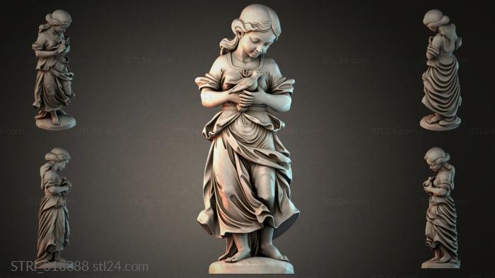 STRI_018088
