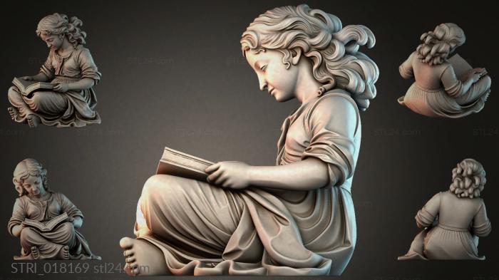 STRI_018169 3d STL model