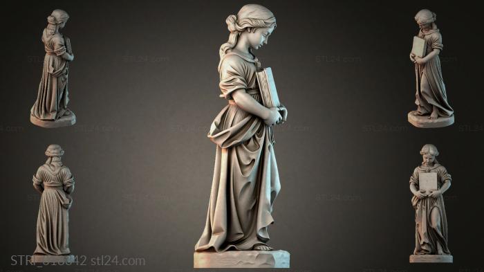 STRI_018342