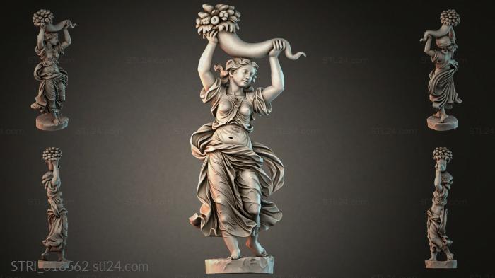 STRI_018562