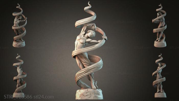 STRI_018586