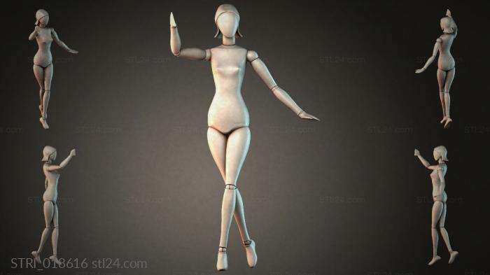STRI_018616 3d STL model