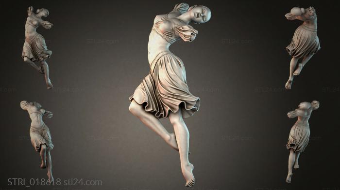 STRI_018618