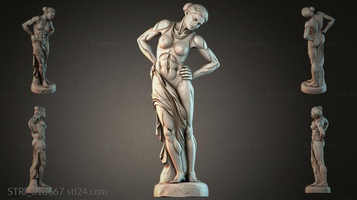 STRI_018667
