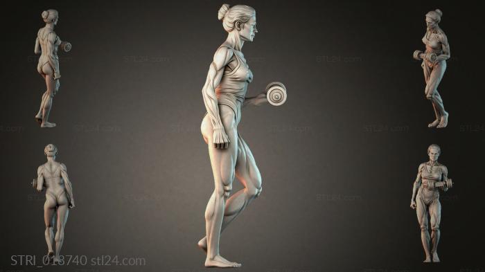 STRI_018740