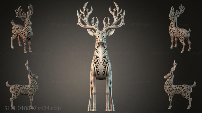 STRI_018849