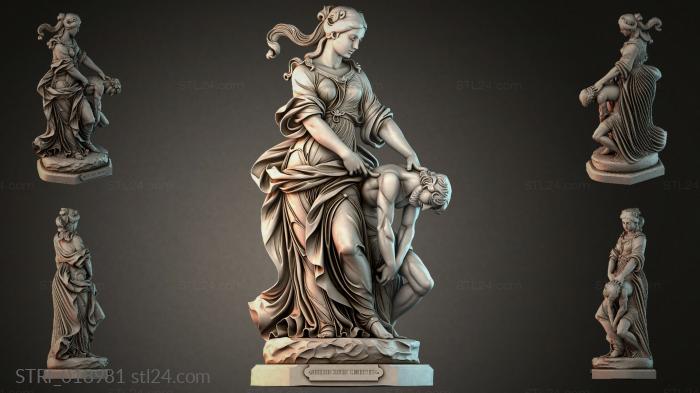 STRI_018981