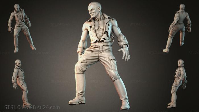 STRI_019068