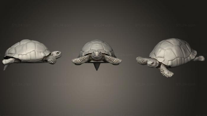 Игрушки (Детали Hermans tortoise WIP4, TOYS_0518) 3D модель для ЧПУ станка