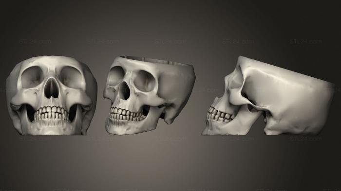 Вазы (Доктор Брейн разгладил настоящий череп, VZ_0465) 3D модель для ЧПУ станка