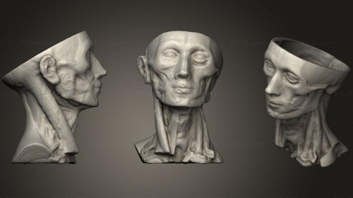 Vases (Human Anatomy head, VZ_0589) 3D models for cnc