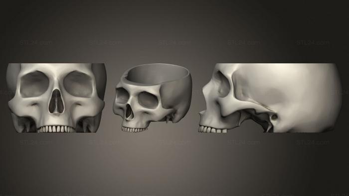 Вазы (Нижняя челюсть Платона Декабрь, VZ_0908) 3D модель для ЧПУ станка