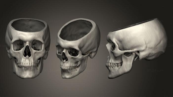 Vases (Skull Male 40yo, VZ_1030) 3D models for cnc