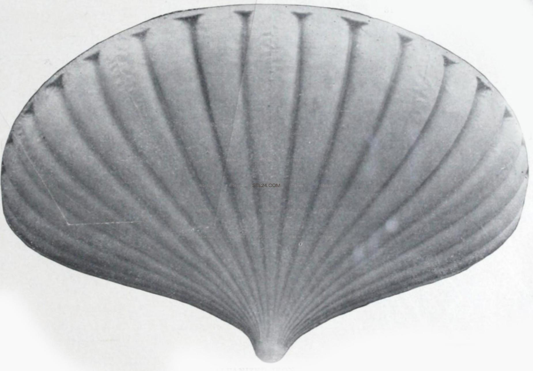 Ракушка Turret Shell